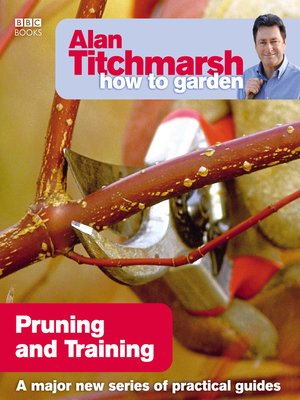 cover image of Pruning and Training